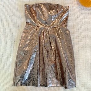 Rose Gold Shimmery Metallic Strapless Dress
